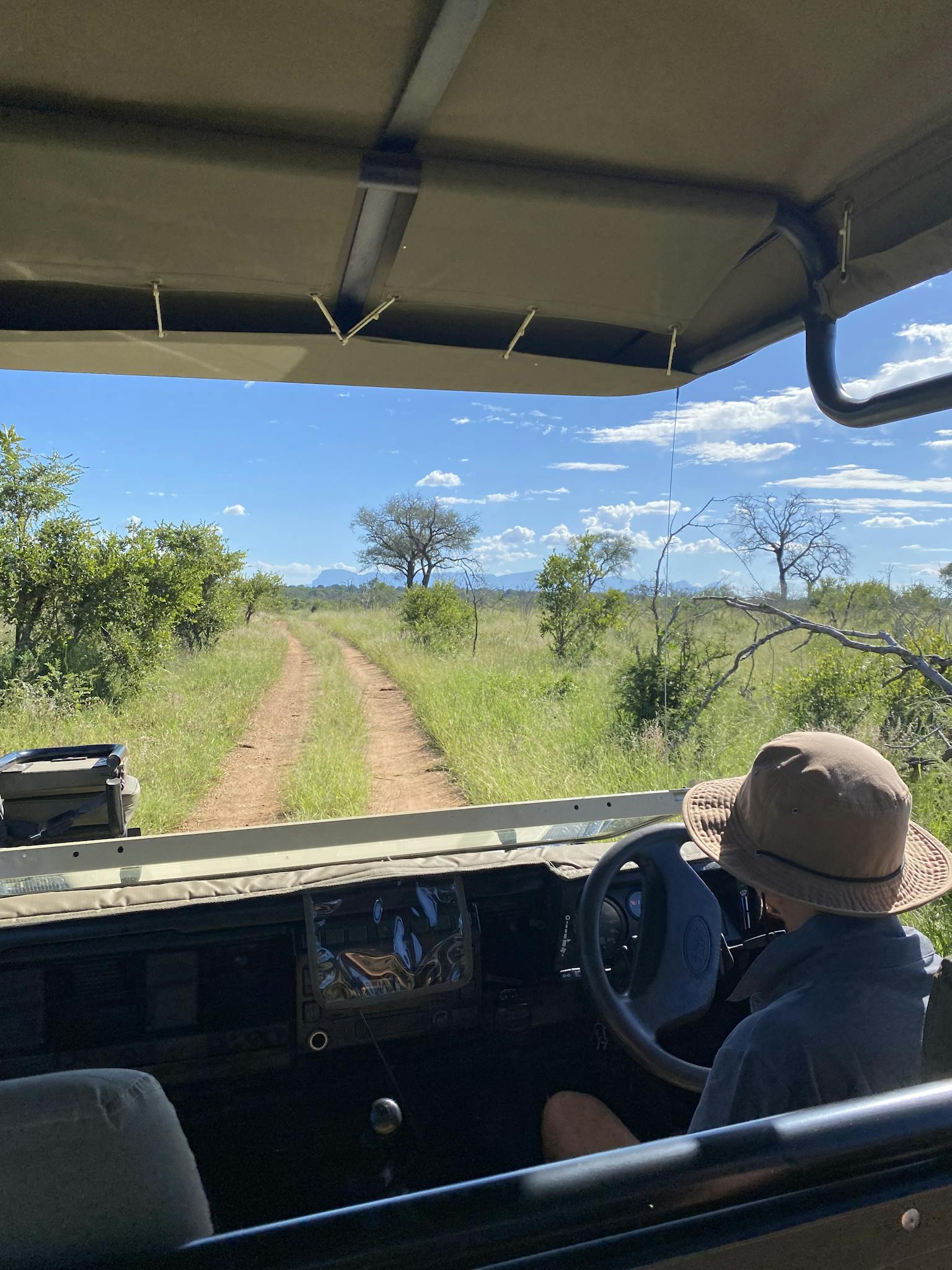 Explore the scenic beauty of Kruger Park on a guided safari tour with breathtaking landscapes.